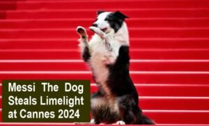 Messi The Dog Steals Limelight at Cannes 2024