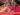 Bigg Boss 19 : Tanya Mittal Became The Queen, While King Amaal Fed Her With His Own Hands, Shahbaz Became The Servant, And Praneet Was Furious