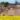 Punjab Flood : Death Toll Rises To 51, Crops Destroyed On 1.84 Lakh Hectares