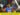 Sanju Samson Career : Highlights of Sanju Samson's Career, Runs, Records And Achievements
